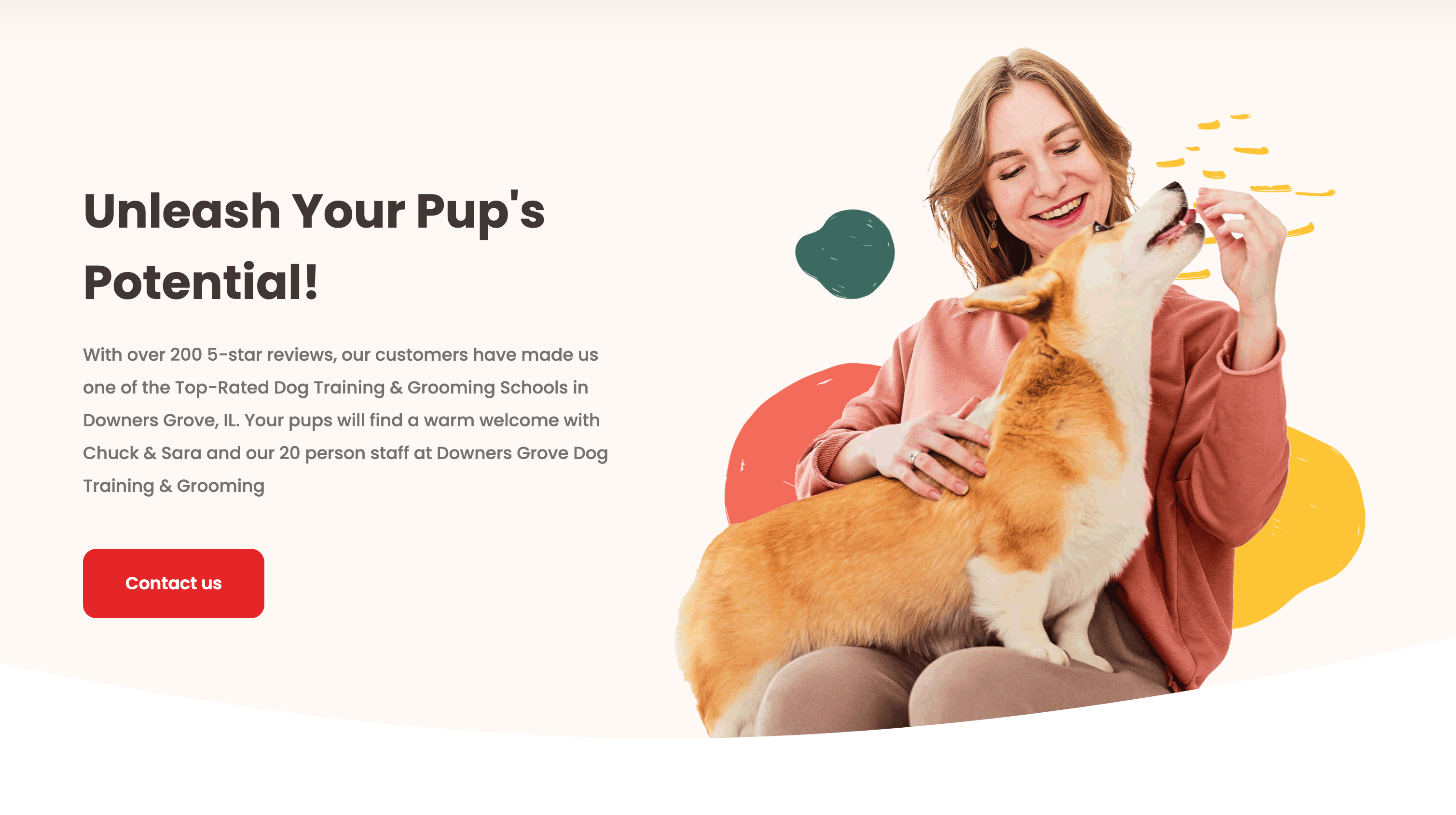 Downers Grove Dog Training & Grooming